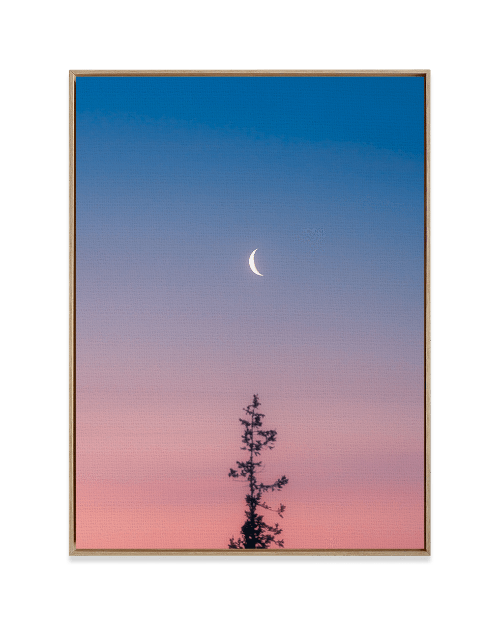 Steely Cao Wall Art Natural Wood / 18" x 24" Reaching for the Moon