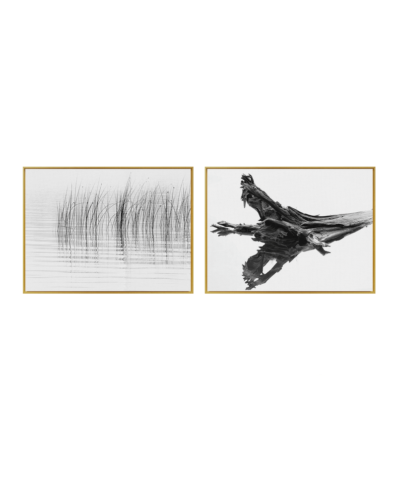 Chris Murray Gallery Set Brass / 18" x 24" Cedar Reeds