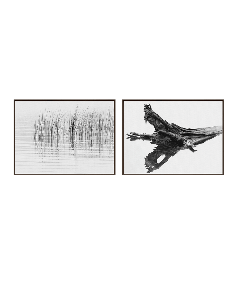 Chris Murray Gallery Set Dark Wood / 18" x 24" Cedar Reeds