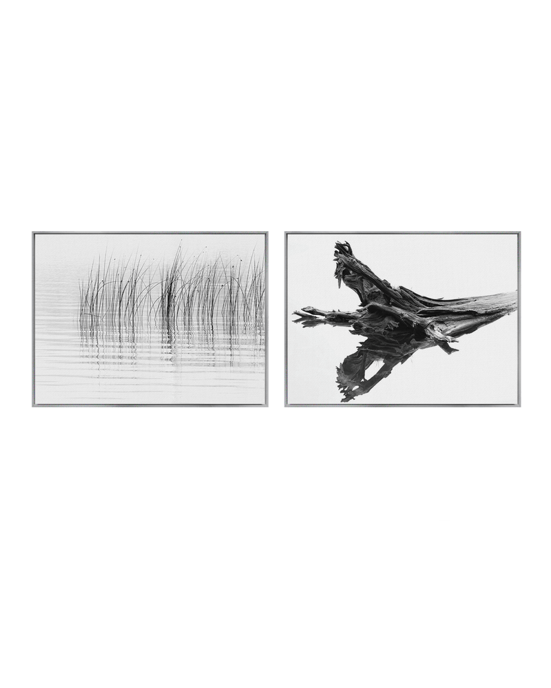 Chris Murray Gallery Set Nickel / 18" x 24" Cedar Reeds