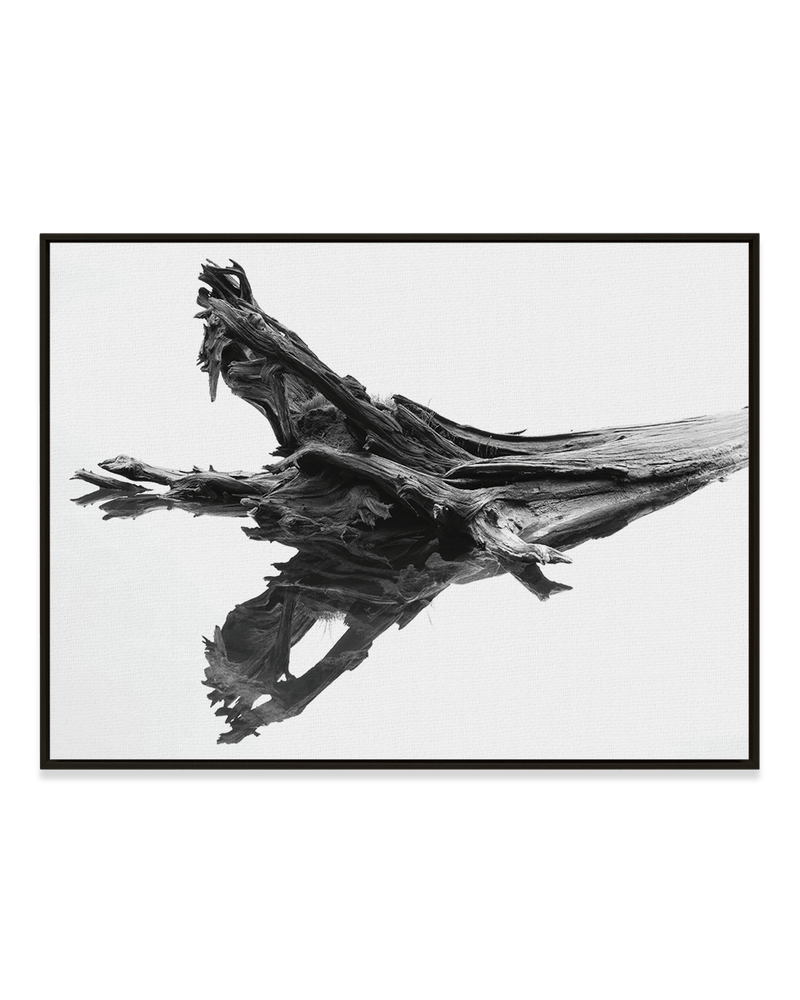 Chris Murray Wall Art Black / 18" x 24" Cedar Reflection