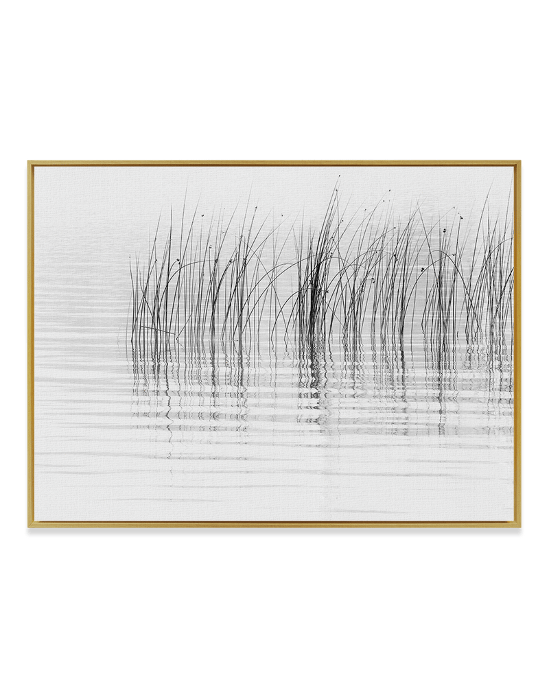 Chris Murray Wall Art Brass / 18" x 24" Reeds