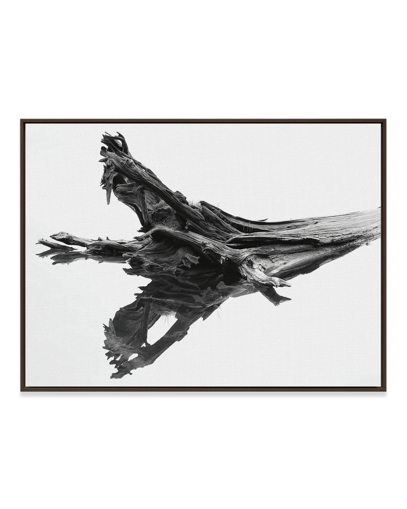 Chris Murray Wall Art Dark Wood / 18" x 24" Cedar Reflection