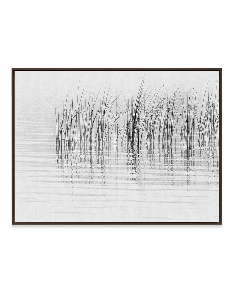 Chris Murray Wall Art Dark Wood / 18" x 24" Reeds