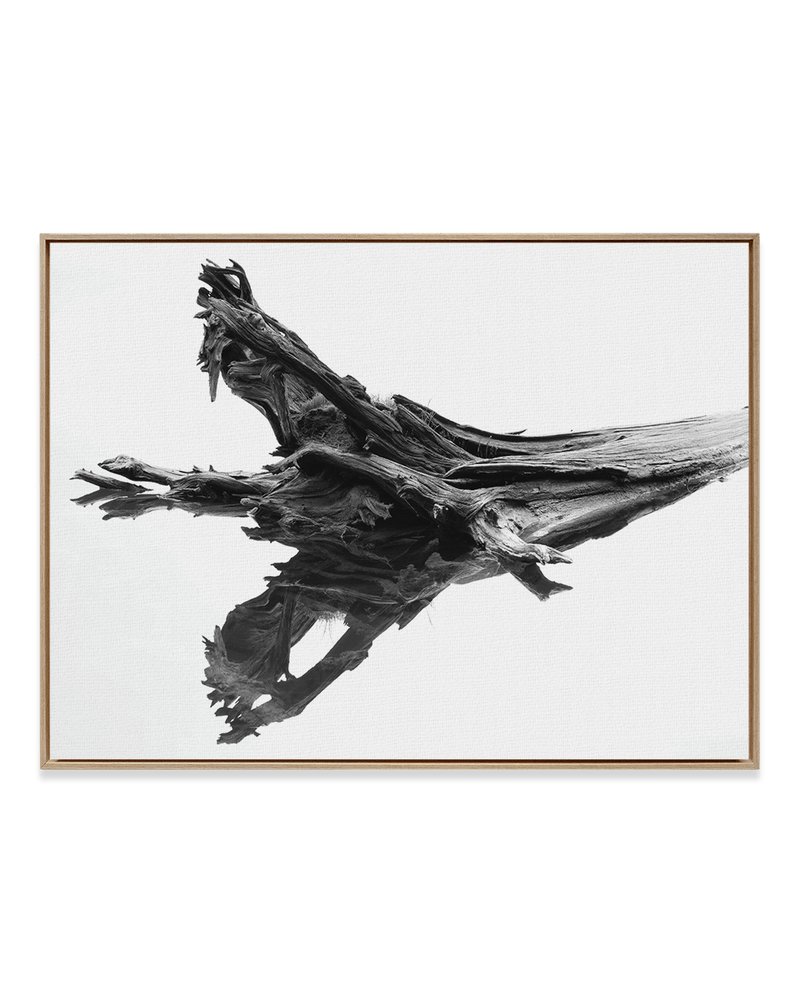Chris Murray Wall Art Natural Wood / 18" x 24" Cedar Reflection