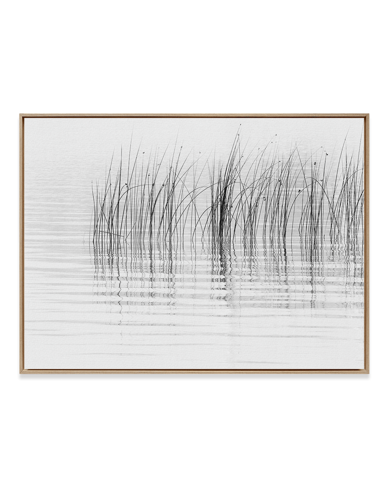 Chris Murray Wall Art Natural Wood / 18" x 24" Reeds