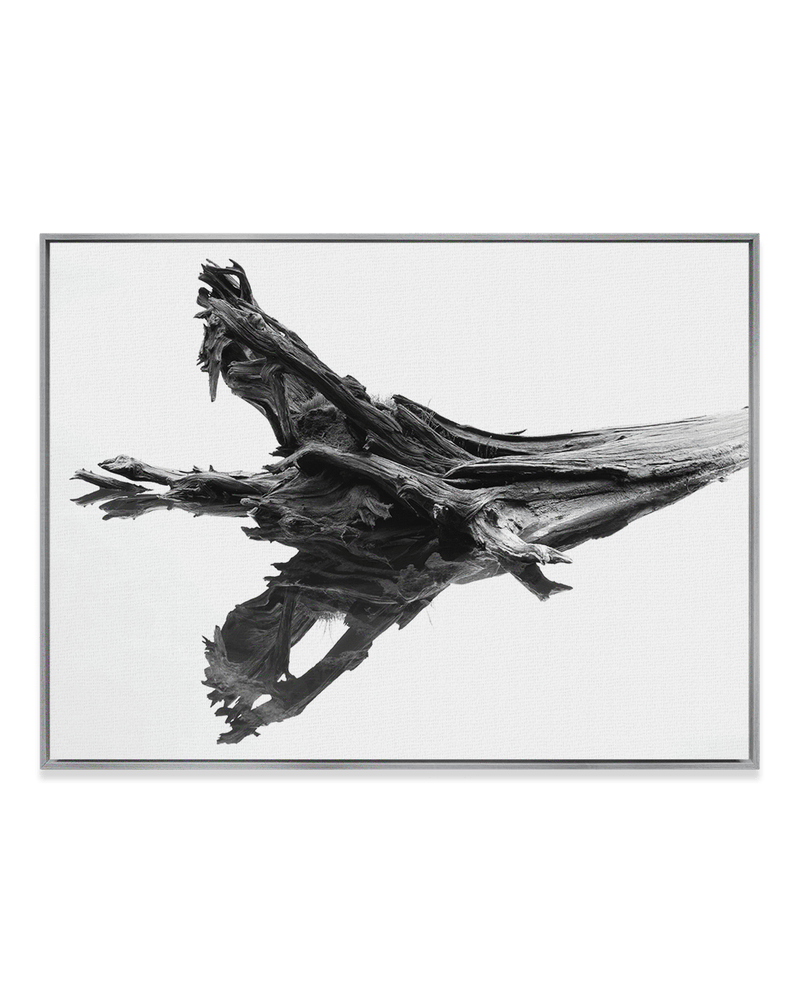 Chris Murray Wall Art Nickel / 18" x 24" Cedar Reflection