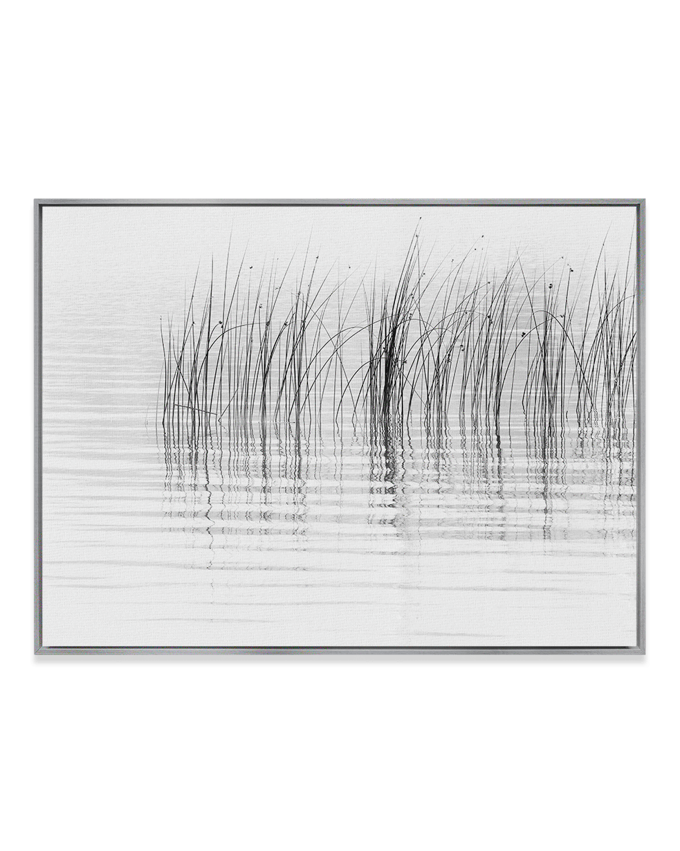 Chris Murray Wall Art Nickel / 18" x 24" Reeds