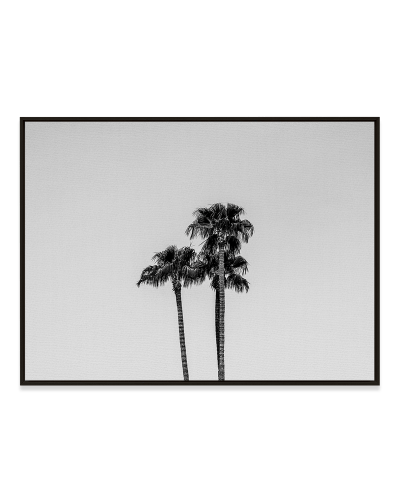 Grace Strode Wall Art Black / 18" x 24" Palm Trio Black & White