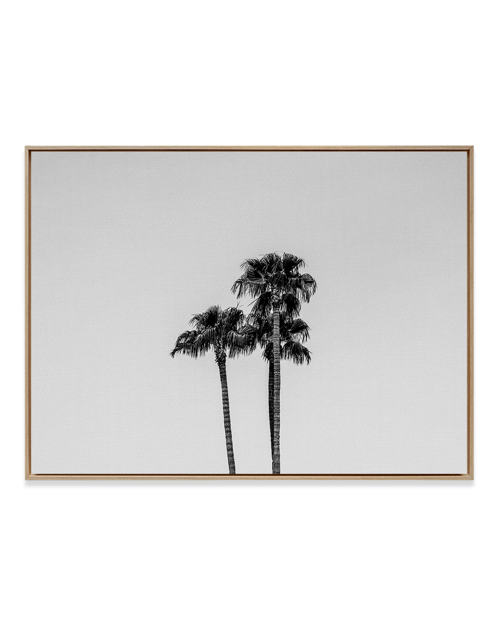 Grace Strode Wall Art Natural Wood / 18" x 24" Palm Trio Black & White