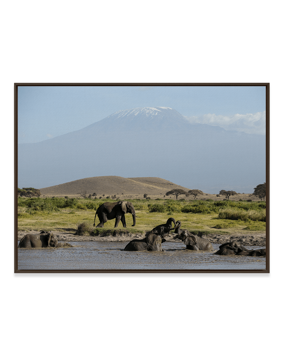 JB Jakubek Wall Art Black / 18" x 24" Kilimanjaro's Playground