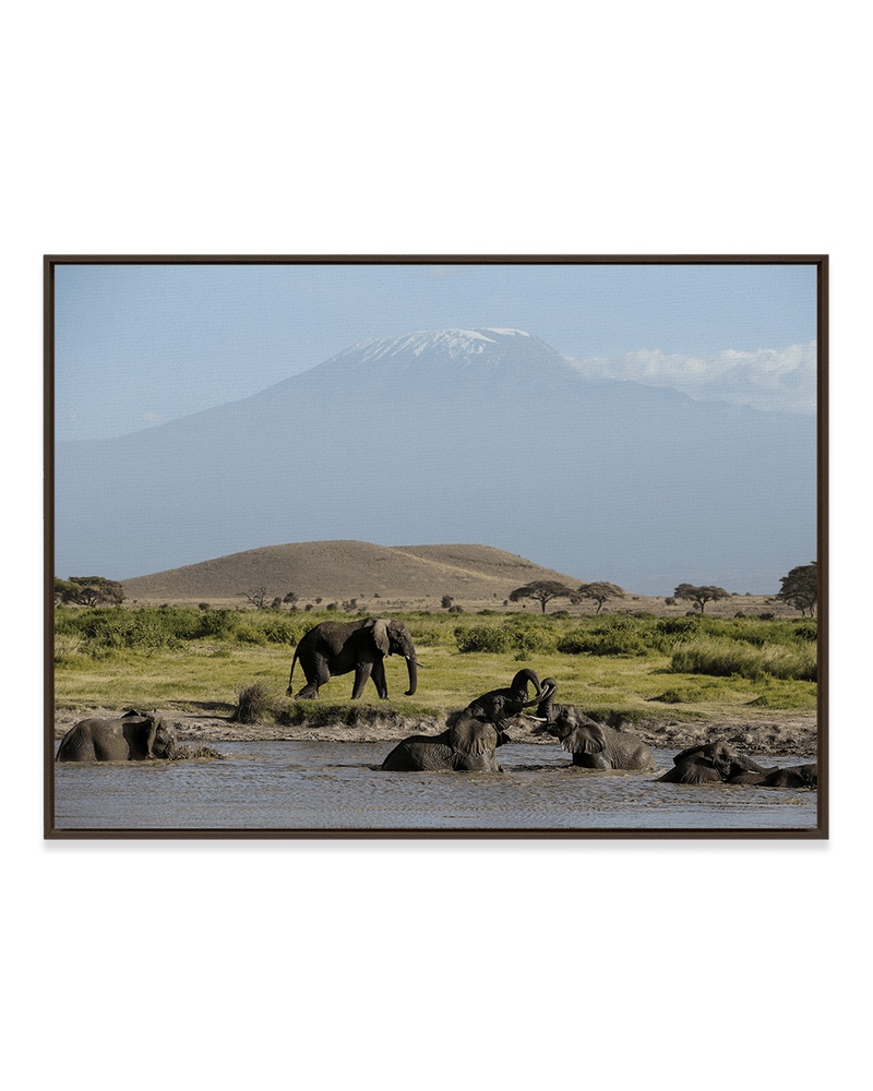 JB Jakubek Wall Art Black / 18" x 24" Kilimanjaro's Playground