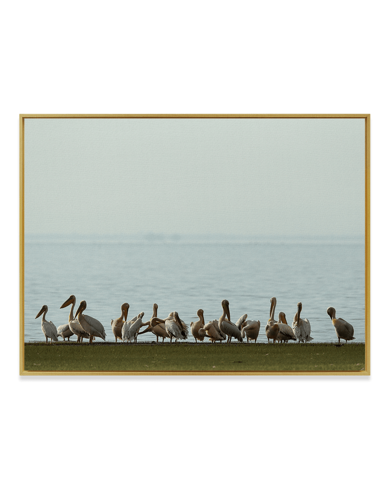 JB Jakubek Wall Art Brass / 18" x 24" Rusty Pelicans