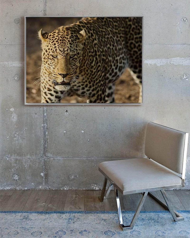 JB Jakubek Wall Art Leopard Hunt