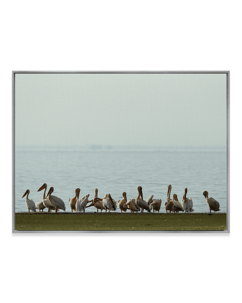 JB Jakubek Wall Art Nickel / 18" x 24" Rusty Pelicans