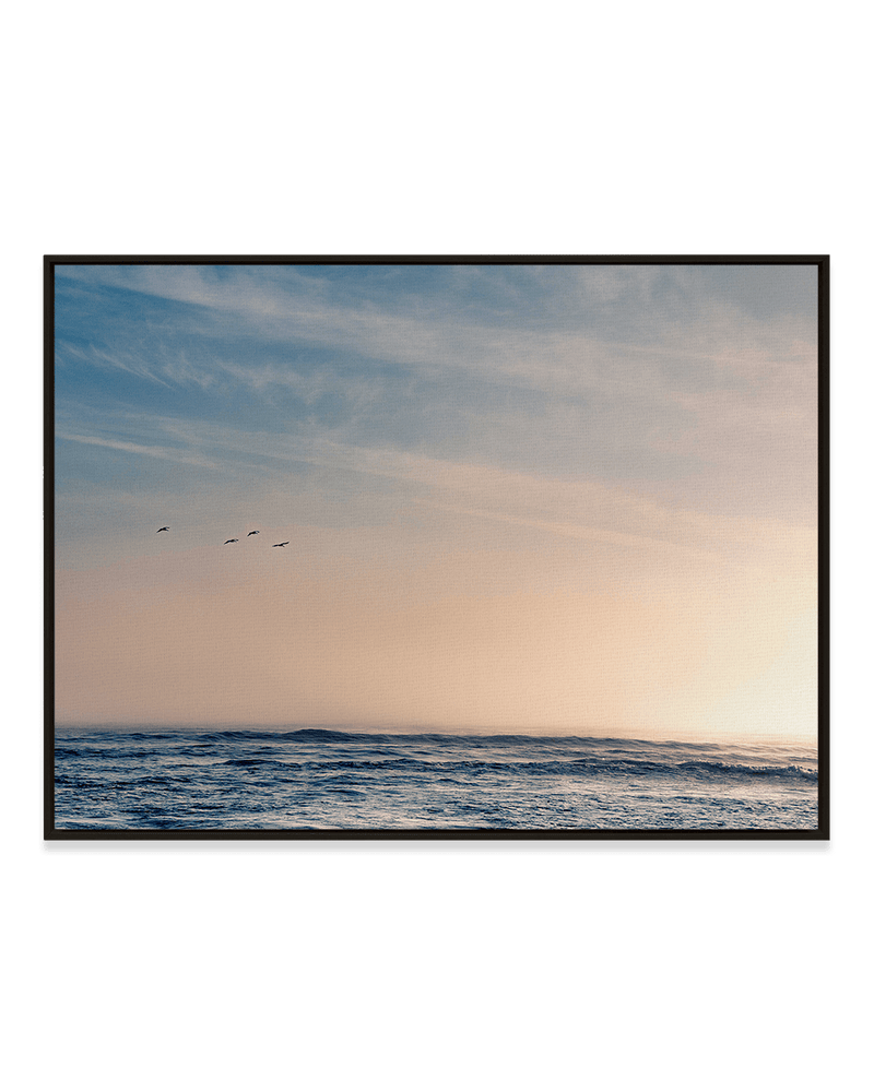 Kyle Sherry Wall Art Black / 18" x 24" Pelican Sunset
