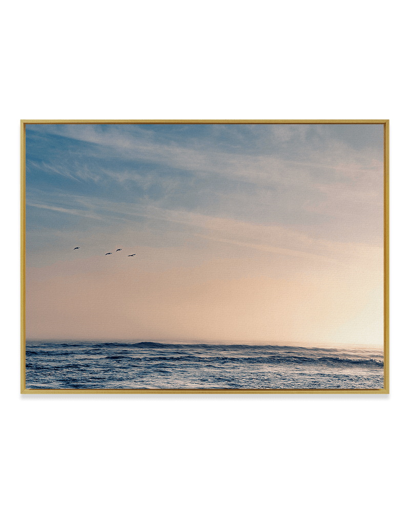 Kyle Sherry Wall Art Brass / 18" x 24" Pelican Sunset