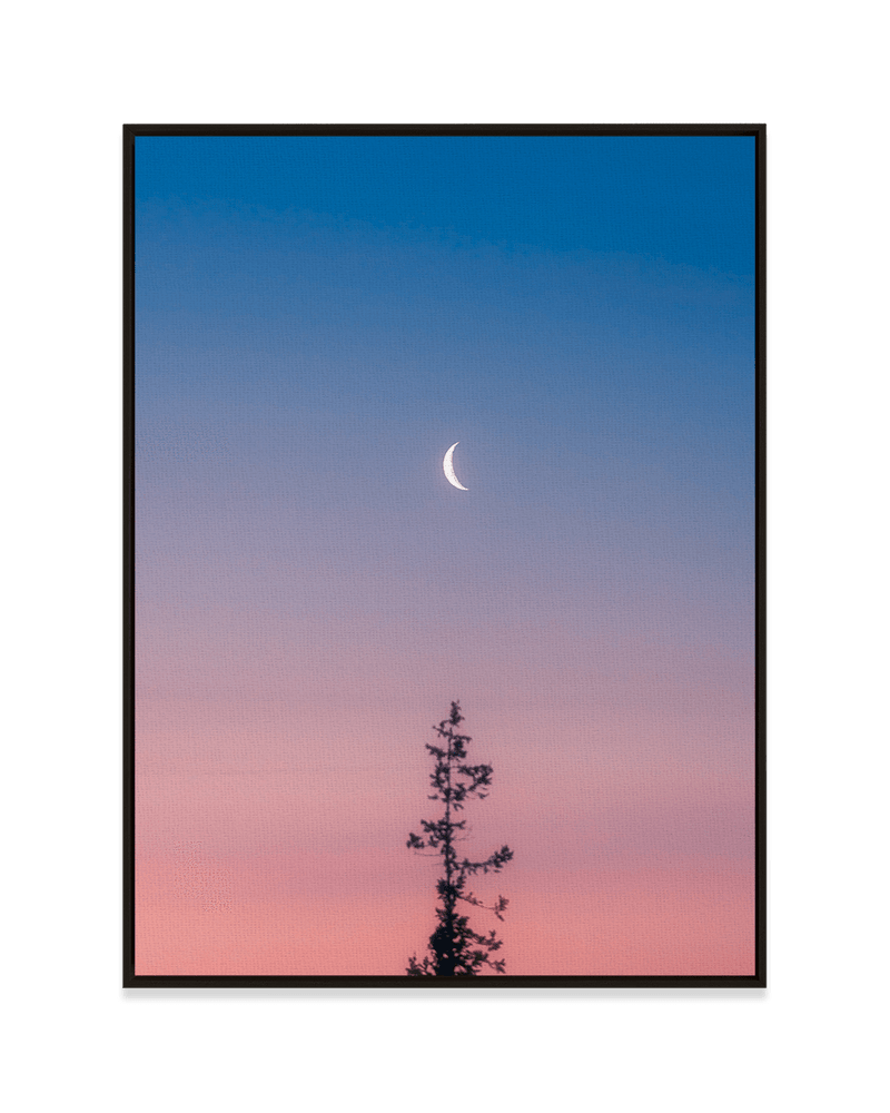 Steely Cao Wall Art Black / 18" x 24" Reaching for the Moon