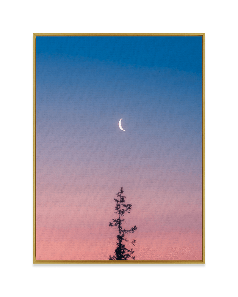 Steely Cao Wall Art Brass / 18" x 24" Reaching for the Moon