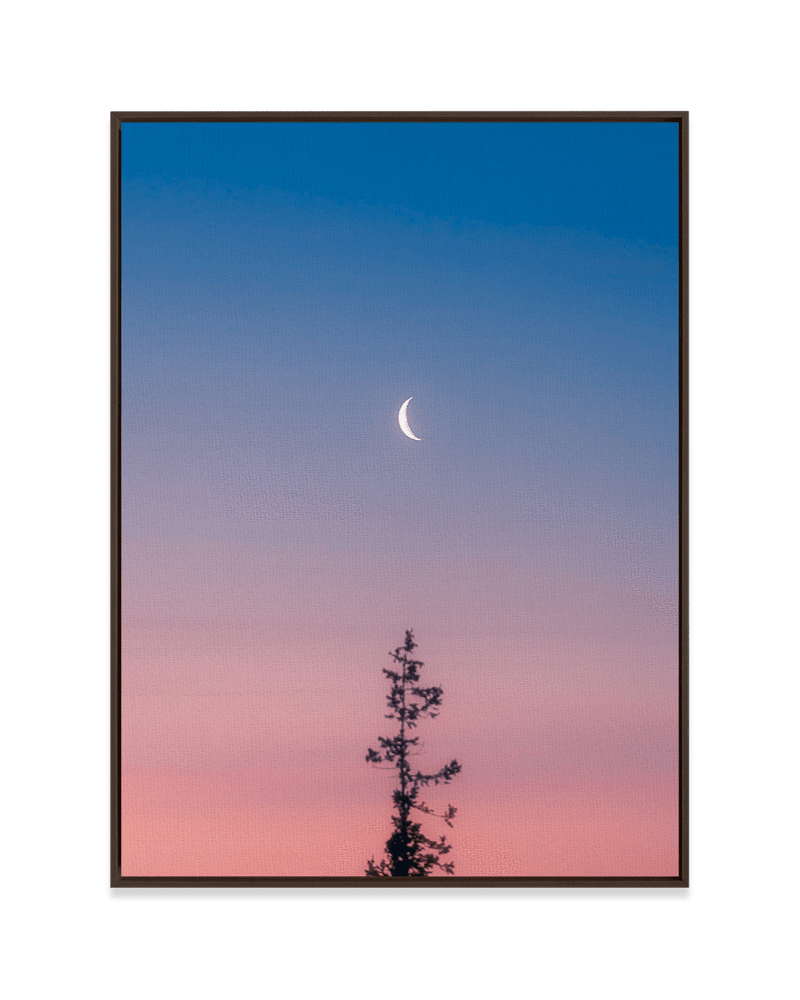 Steely Cao Wall Art Dark Wood / 18" x 24" Reaching for the Moon